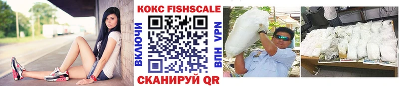 Cocaine Fish Scale  гидра онион  Шуя 