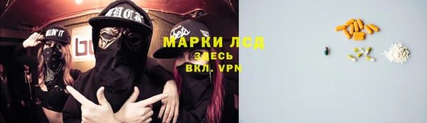 амф Алзамай
