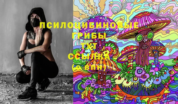 амф Алзамай