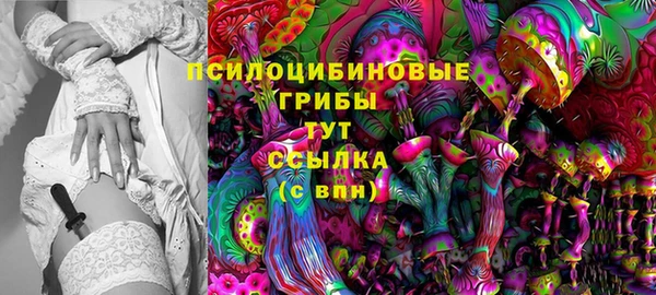 МДПВ Алексеевка