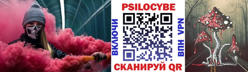 kraken ссылки  нарко площадка наркотические препараты  Галлюциногенные грибы мицелий  Шуя 